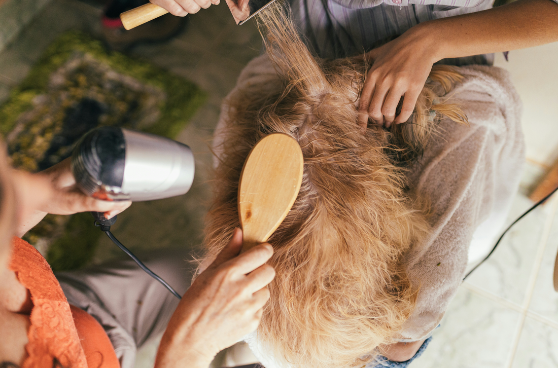 dog grooming, dog hair brush, dog hair dryer